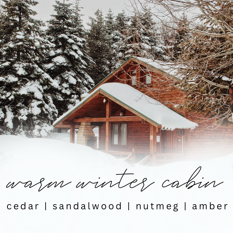 Warm Winter Cabin
